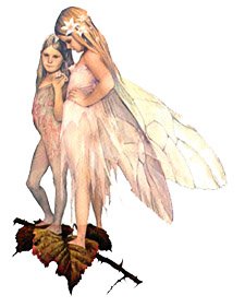 Faeries